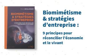 Biomimétisme & stratégies d'entreprise