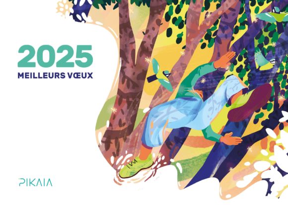 Meilleurs voeux 2025 Pikaia, filiale d'Inddigo